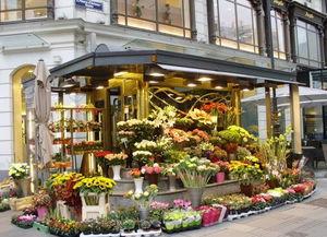 唐山花店老板吃瓜群视频,揭秘网络社交背后的真实故事