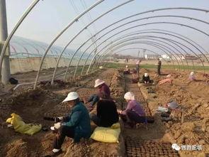 界首吃瓜最新视频播放,揭秘幕后真相，带你领略网络热点背后的故事