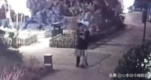 河北化工吃瓜事件视频曝光,视频曝光揭示惊人真相