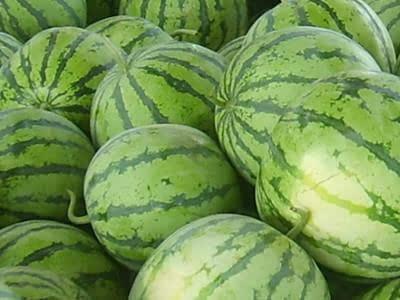 吃瓜视频渠道怎么找到,轻松获取热门资讯的副标题攻略