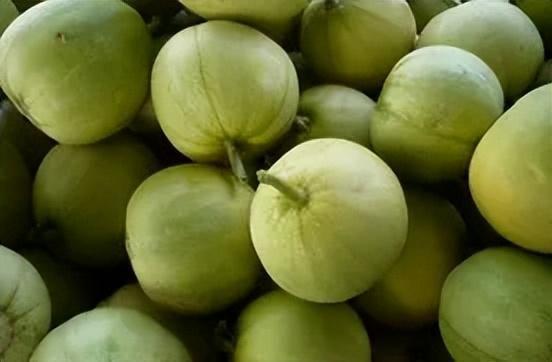 小老虎吃瓜甜瓜视频,一场瓜果盛宴的欢乐时光