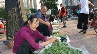 韩城市吃瓜巧玲事件视频,一场网络热议的真相探寻